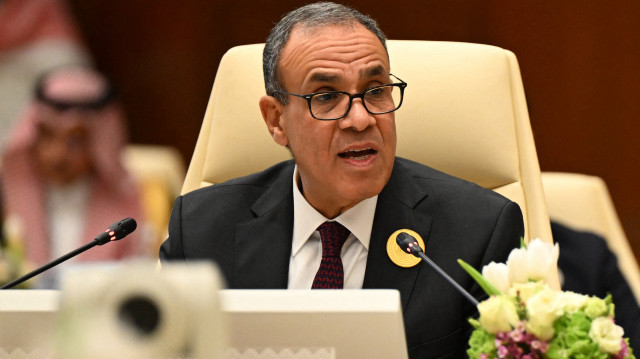 Badr Abdelatty,Le ministre égyptien des Affaires étrangères
